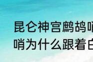 昆仑神宫鹧鸪哨为什么会出现（鹧鸪哨为什么跟着白猿跳到洞里）