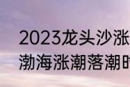 2023龙头沙涨潮退潮时间表（2023渤海涨潮落潮时间）