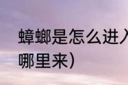 蟑螂是怎么进入家中的（家里蟑螂从哪里来）