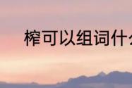 榨可以组词什么（榨组词2个字）