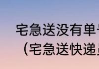 宅急送没有单号怎么在网上查物流呢（宅急送快递员工号怎么查询）