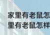 家里有老鼠怎样驱赶最好的方法（家里有老鼠怎样驱赶最好的方法）