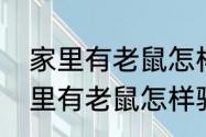 家里有老鼠怎样驱赶最好的方法（家里有老鼠怎样驱赶最好的方法）