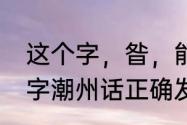 这个字，昝，能有多少人能认识（昝字潮州话正确发音）