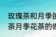 玫瑰茶和月季的区别（怎样做月季花茶月季花茶的做法）