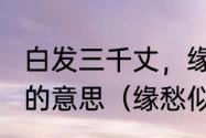 白发三千丈，缘愁似个长的缘是什么的意思（缘愁似个长的似是什么意思）