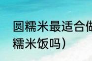 圆糯米最适合做什么（圆糯米可以煮糯米饭吗）