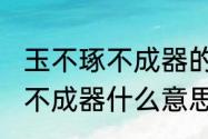 玉不琢不成器的全诗和译文（玉不琢，不成器什么意思）