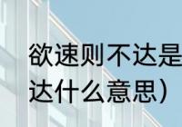 欲速则不达是什么意思了（欲速则不达什么意思）