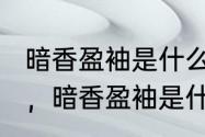 暗香盈袖是什么意思?谢谢（落花满怀，暗香盈袖是什么意思）