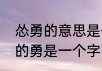 怂勇的意思是什么（勇敢的勇和永远的勇是一个字吗）