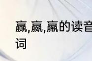 赢,嬴,羸的读音分别是什么,能组什么词