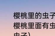 樱桃里的虫子吃了会在体内生长吗（樱桃里面有虫子吗为什么樱桃里面有虫子）