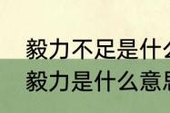 毅力不足是什么意思（决心信心勇气毅力是什么意思）