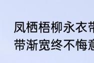 凤栖梧柳永衣带渐宽终不悔原文（衣带渐宽终不悔意思）