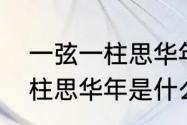 一弦一柱思华年是什么意思（一弦一柱思华年是什么意思）