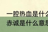 一腔热血是什么意思（一腔热血,满身赤诚是什么意思）