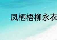 凤栖梧柳永衣带渐宽终不悔原文