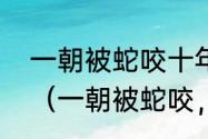 一朝被蛇咬十年怕井绳，成就怎么做（一朝被蛇咬，处处闻啼鸟）