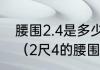 腰围2.4是多少厘米2.4寸是多少厘米（2尺4的腰围是多少码啊）