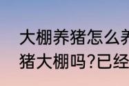 大棚养猪怎么养（基本农田可以建养猪大棚吗?已经建好的养猪场怎么办）