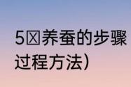 5 养蚕的步骤（家庭养蚕最佳蚕成长过程方法）