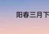 阳春三月下扬州代表什么意