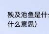 殃及池鱼是什么意思（小心殃及池鱼什么意思）