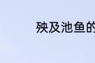 殃及池鱼的池是什么意思