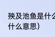 殃及池鱼是什么意思（小心殃及池鱼什么意思）