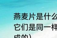 燕麦片是什么做的，麦米是燕麦米吗它们是同一样东西吗（麦片是怎样制成的）