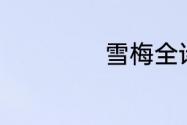 雪梅全诗解释30字