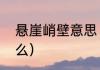 悬崖峭壁意思（悬崖峭壁的意思是什么）