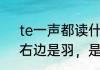 te一声都读什么字（左边是寰里面，右边是羽，是什么字）