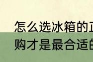 怎么选冰箱的正确方法（冰箱怎么选购才是最合适的）