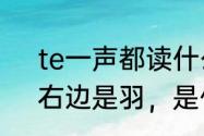 te一声都读什么字（左边是寰里面，右边是羽，是什么字）