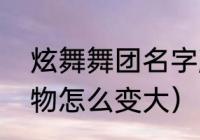 炫舞舞团名字颜色怎么弄的（炫舞人物怎么变大）