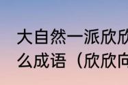 大自然一派欣欣向荣的景象,会想到什么成语（欣欣向荣，是什么结构类型）