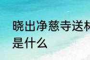 晓出净慈寺送林子方这首古诗的意思是什么