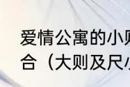 爱情公寓的小则又沐风是哪三位的组合（大则及尺小则盈寸的意思）