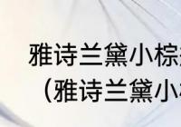 雅诗兰黛小棕瓶精华15m可以用多久（雅诗兰黛小棕瓶是修护精华吗）