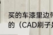 买的车漆里边带了个小毛刷是干嘛用的（CAD刷子是什么命令）