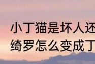 小丁猫是坏人还是好人（无心法师2岳绮罗怎么变成丁小猫的）