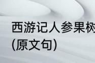 西游记人参果树为什么会落地寻无踪?(原文句)