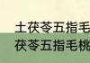 土茯苓五指毛桃煲汤的最佳搭配（土茯苓五指毛桃煲汤的最佳搭配）