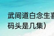 武间道白念生喜欢谁（武间道炸永生码头是几集）