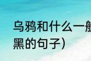 乌鸦和什么一般黑（乌鸦不知道自己黑的句子）