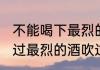 不能喝下最烈的酒歌什么歌曲（我饮过最烈的酒吹过最冷的风是什么意思）