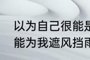 以为自己很能是什么意思（本以为你能为我遮风挡雨语录）