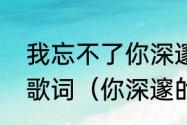 我忘不了你深邃的眼眸是什么歌曲的歌词（你深邃的眼眸让我无法自拔）